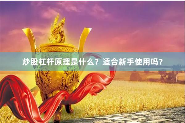 炒股杠杆原理是什么？适合新手使用吗？